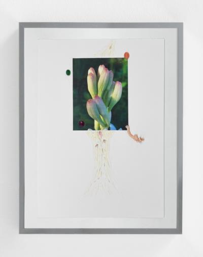 Zoe Williams: Venus Narcotic (Liquid Currency scene 3), 2022