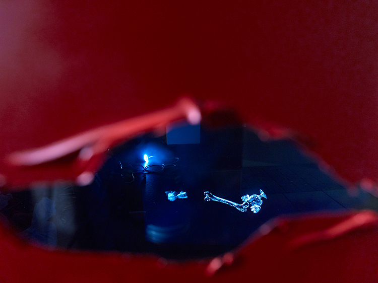 Gerrit Frohne-Brinkmann, Nicola Gördes, Stella Rossié  & Paul Spengemann: P-A-N-T-S-D-O-W-N, 2018 Photo: Simon Vogel