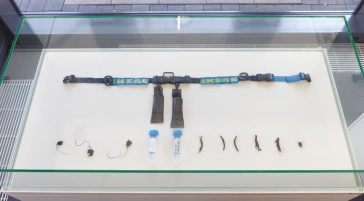 DISPLAY. Staging Identites, 2019_JOHANNES PAUL RAETHER - Kommunisate Dry Shipper, 2016; Cryo Kommunisat II & III, 2015, 2017_Foto: Simon Vogel
