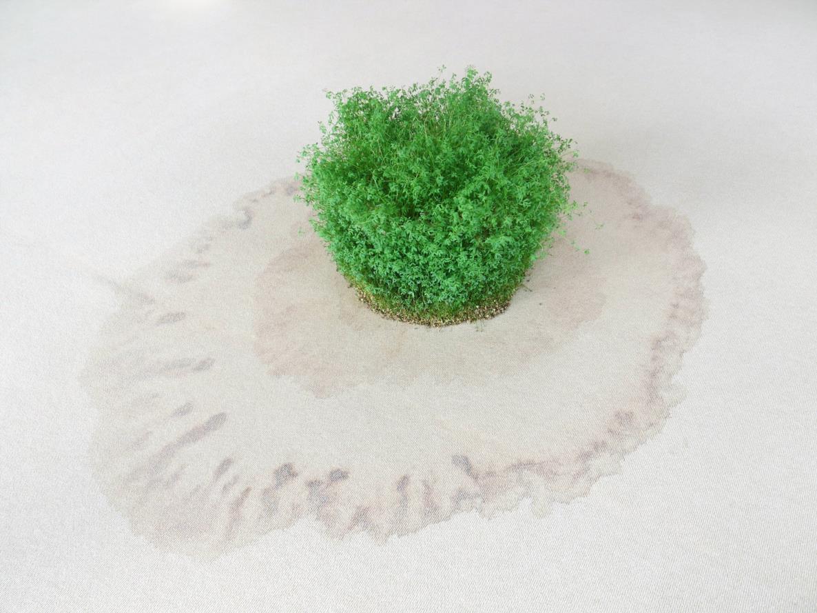 MIMOSA ECHARD und MICHEL BLAZY: LUCA - Last Universal Common Ancestor, 2019; alle Fotos: Simon Vogel