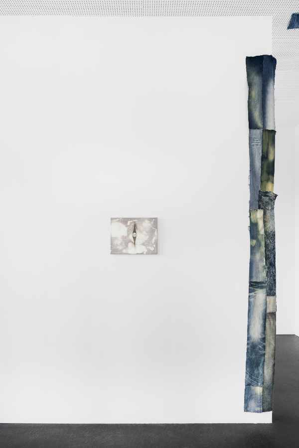 Alison Yip: BARE HEEL COUNTRY, 2020, Dortmunder Kunstverein, Foto: Roland Baege