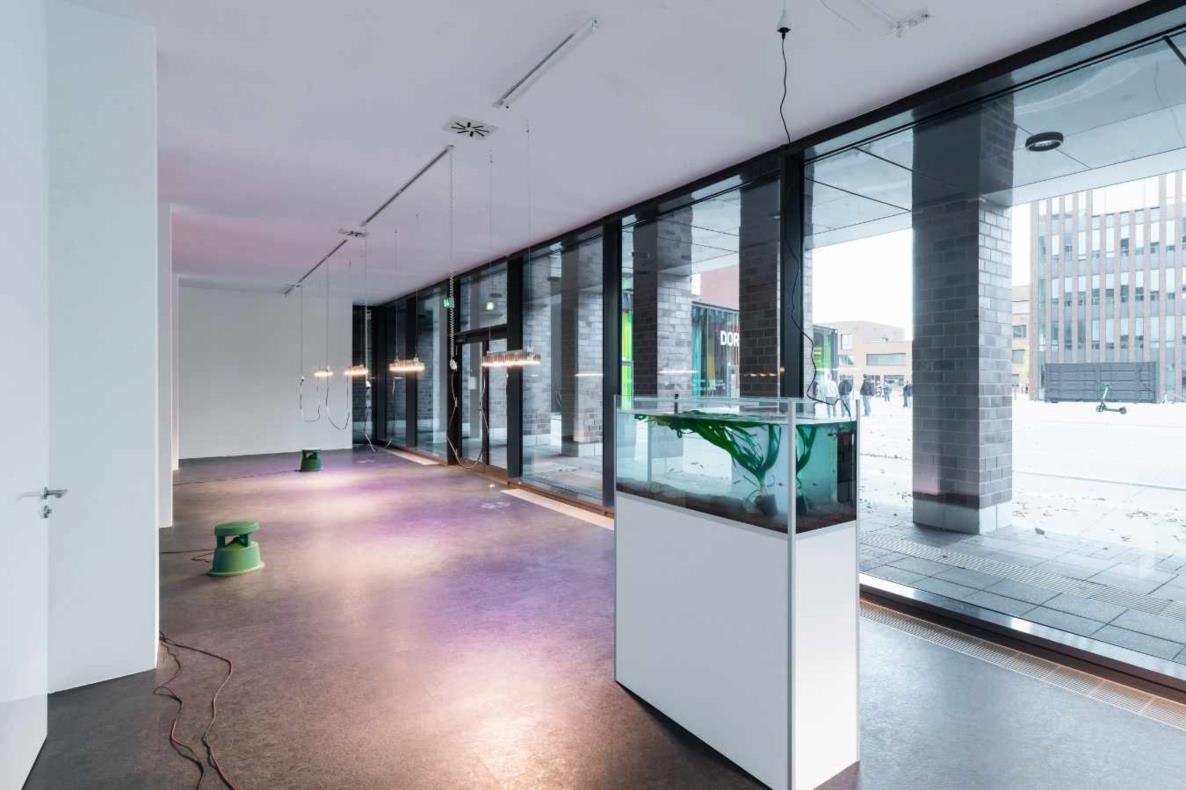 Lina Hermsdorf: Being A Vertebrate, 2020, Dortmunder Kunstverein, Foto: Roland Baege