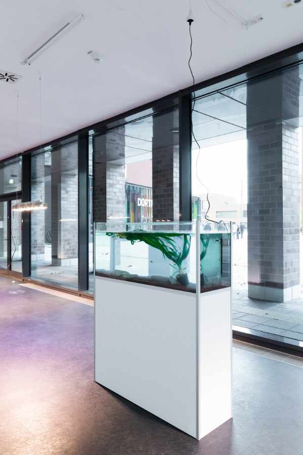 Lina Hermsdorf: Being A Vertebrate, 2020, Dortmunder Kunstverein, Foto: Roland Baege