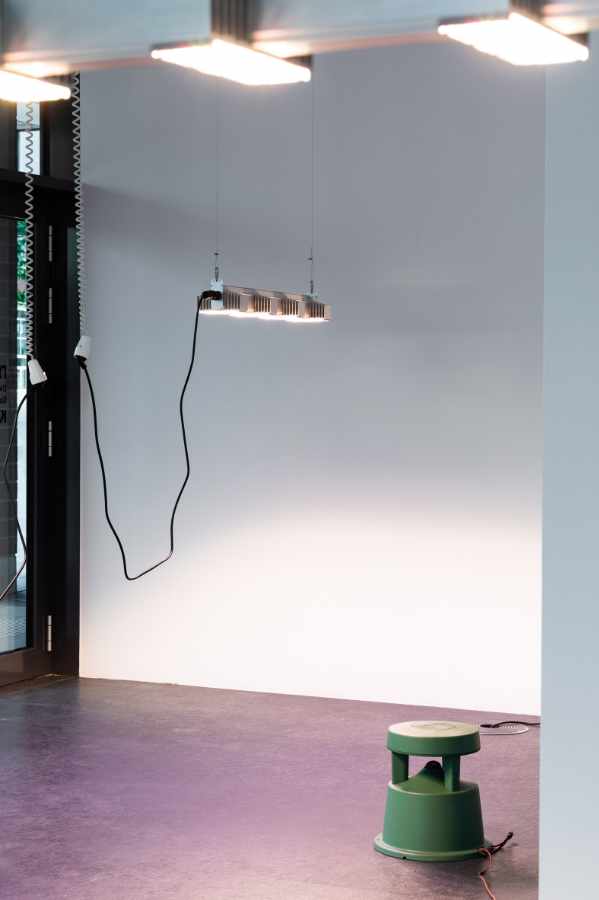 Lina Hermsdorf: Being A Vertebrate, 2020, Dortmunder Kunstverein, Foto: Roland Baege