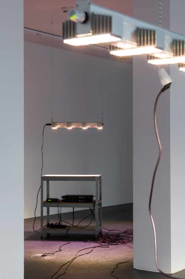 Lina Hermsdorf: Being A Vertebrate, 2020, Dortmunder Kunstverein, Foto: Roland Baege