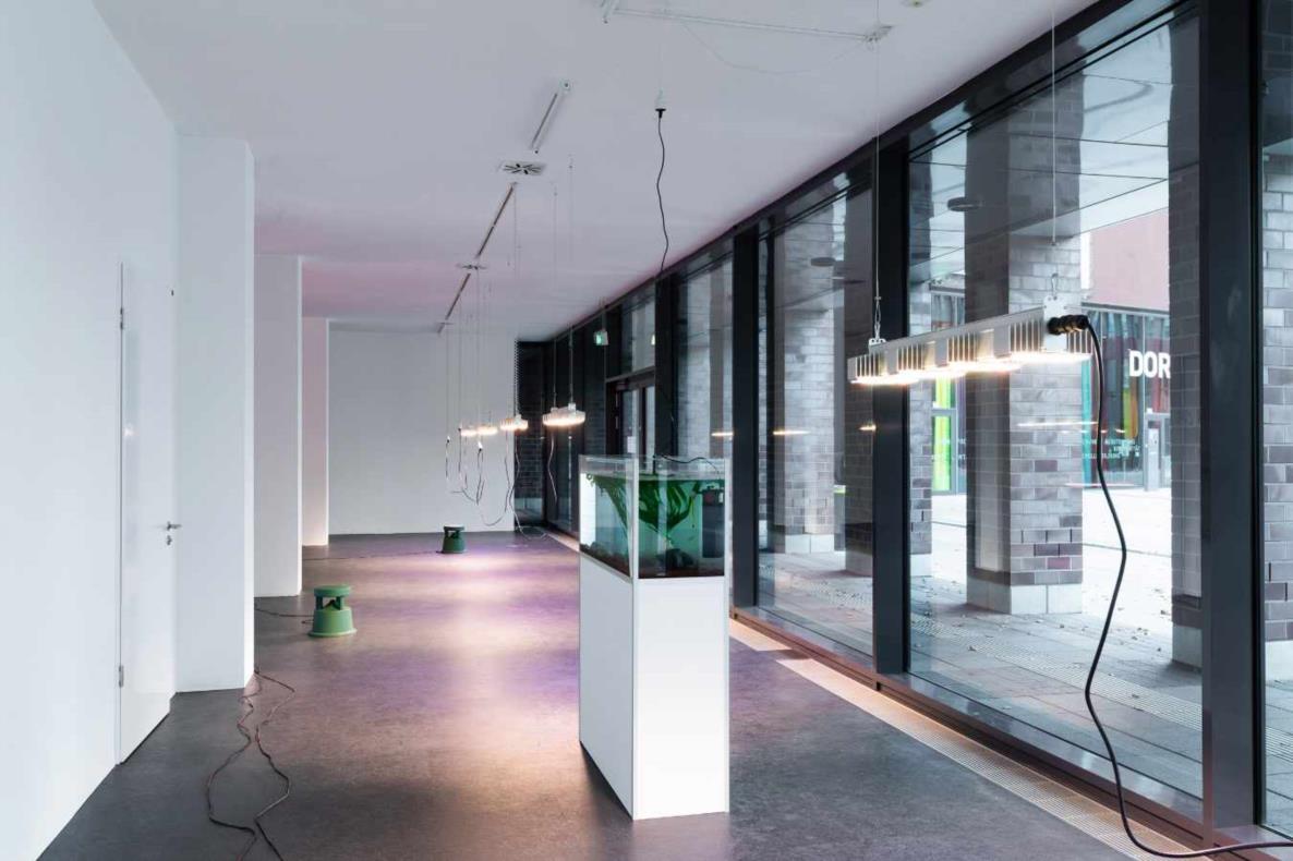 Lina Hermsdorf: Being A Vertebrate, 2020, Dortmunder Kunstverein, Foto: Roland Baege