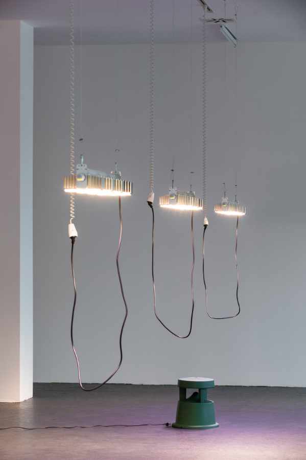 Lina Hermsdorf: Being A Vertebrate, 2020, Dortmunder Kunstverein, Foto: Roland Baege