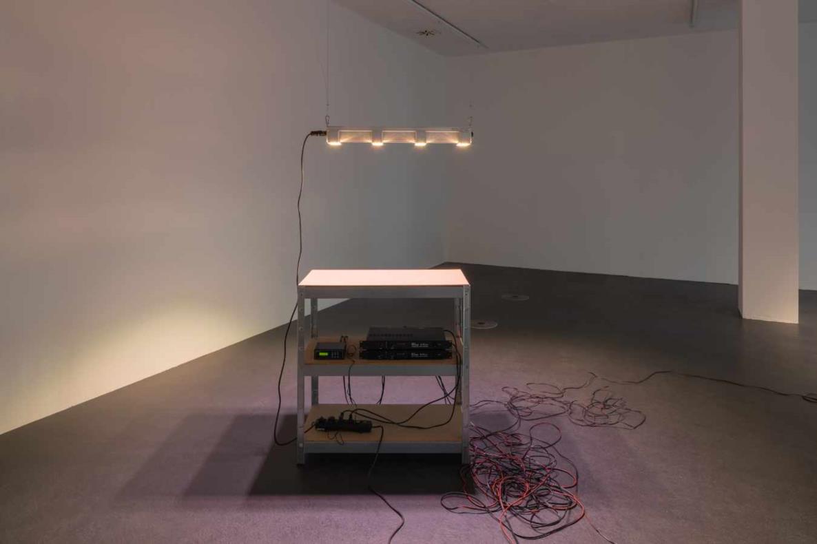 Lina Hermsdorf: Being A Vertebrate, 2020, Dortmunder Kunstverein, Foto: Roland Baege
