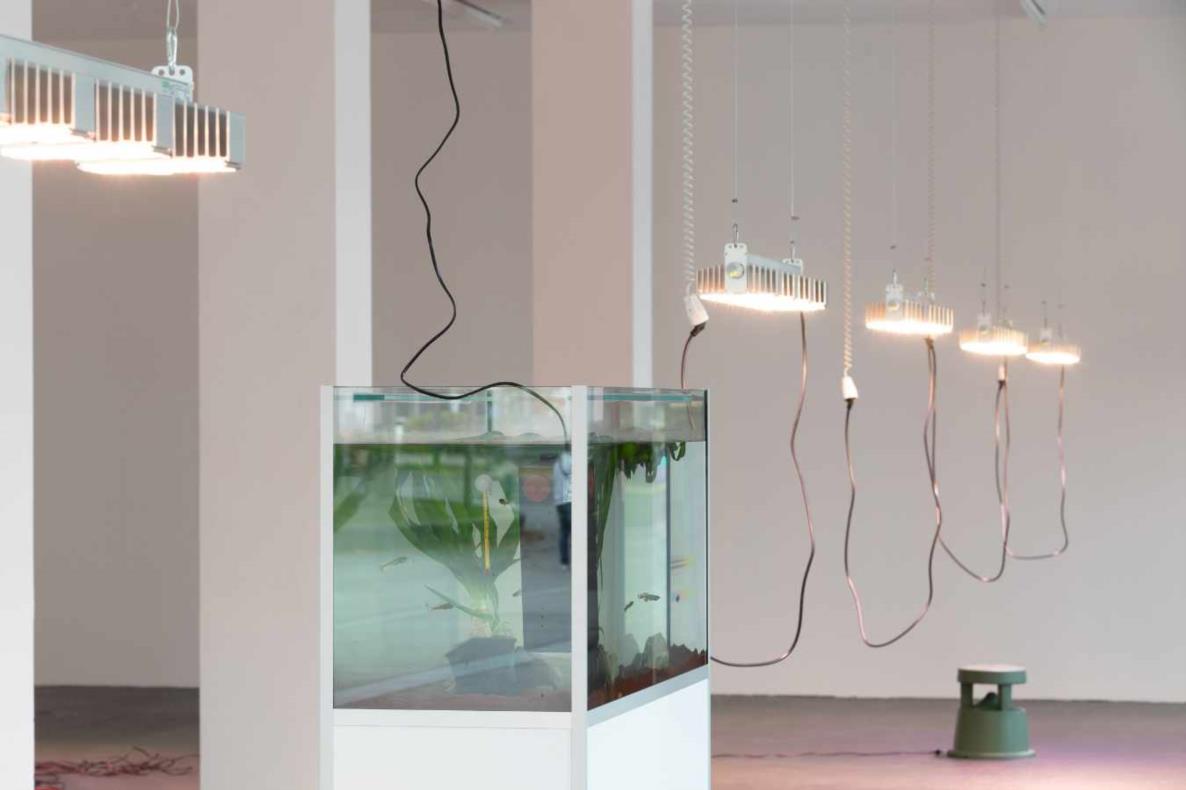 Lina Hermsdorf: Being A Vertebrate, 2020, Dortmunder Kunstverein, Foto: Roland Baege