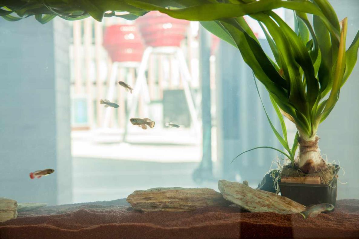 Lina Hermsdorf: Being A Vertebrate, 2020, Dortmunder Kunstverein, Foto: Roland Baege