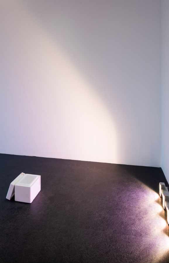 Lina Hermsdorf: Being A Vertebrate, 2020, Dortmunder Kunstverein, Foto: Roland Baege