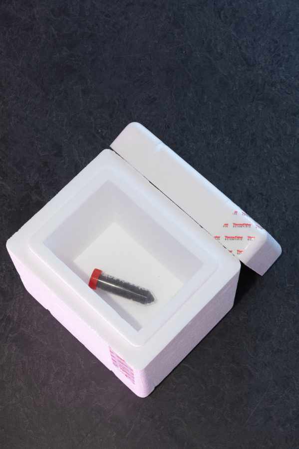 Lina Hermsdorf: Being A Vertebrate, 2020, Dortmunder Kunstverein, Foto: Roland Baege