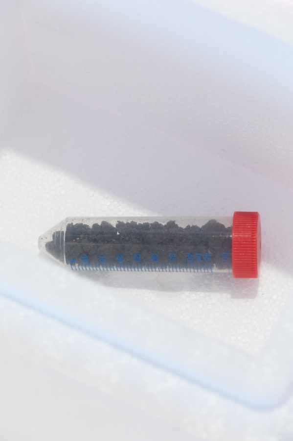 Lina Hermsdorf: Being A Vertebrate, 2020, Dortmunder Kunstverein, Foto: Roland Baege