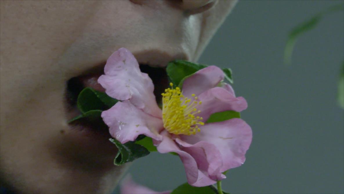 Iván Argote: Still aus La Plaza del Chafleo, 2018; Video HD, digital 4K, 15’06’’ 