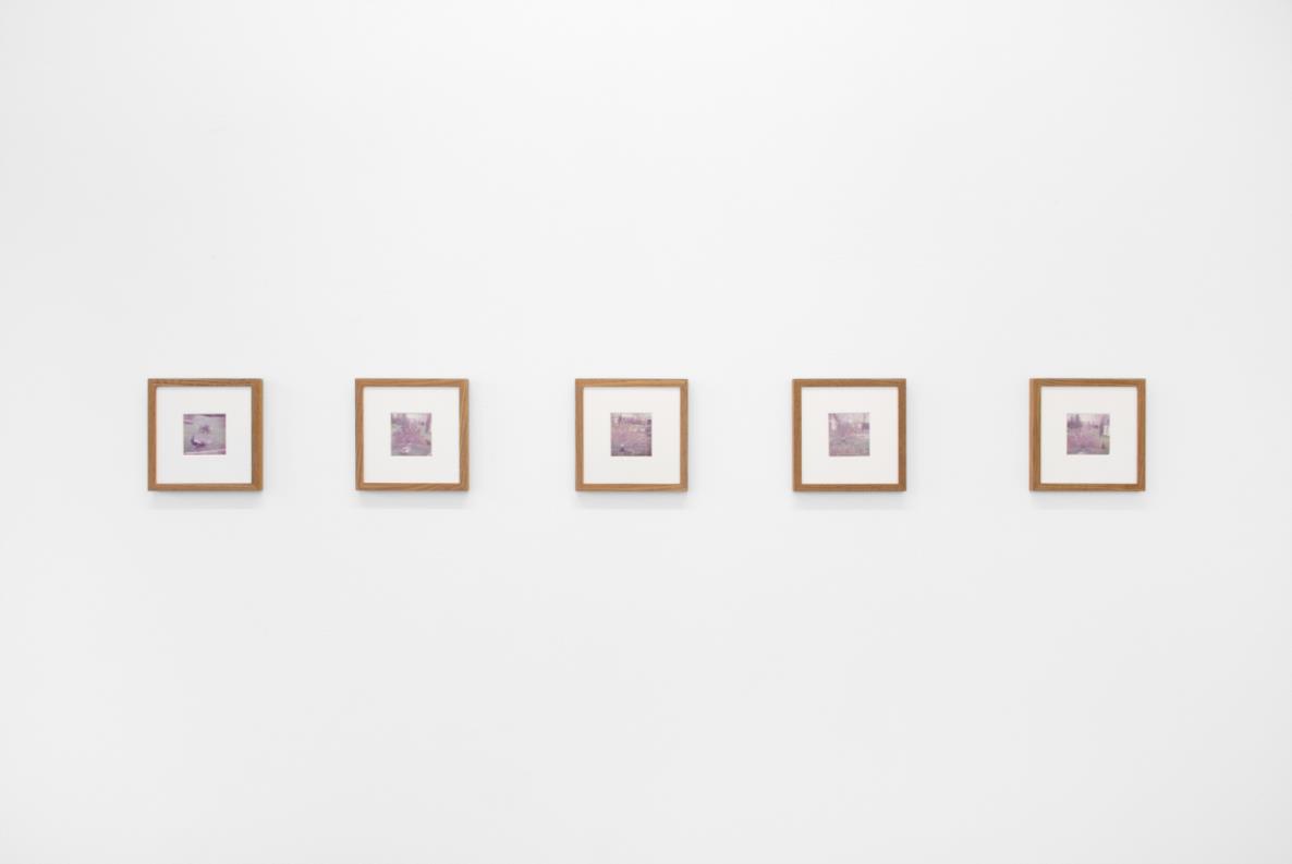 James Gregory Atkinson, Preußisches Liebesglück (Detail), 2021, wall paper, photography, peacock chair, audio piece, installation view ‘6 Friedberg-Chicago’, Dortmunder Kunstverein Courtesy: the artist, Tyrown Vincent, Dortmunder Kunstverein Photo: Jens Franke