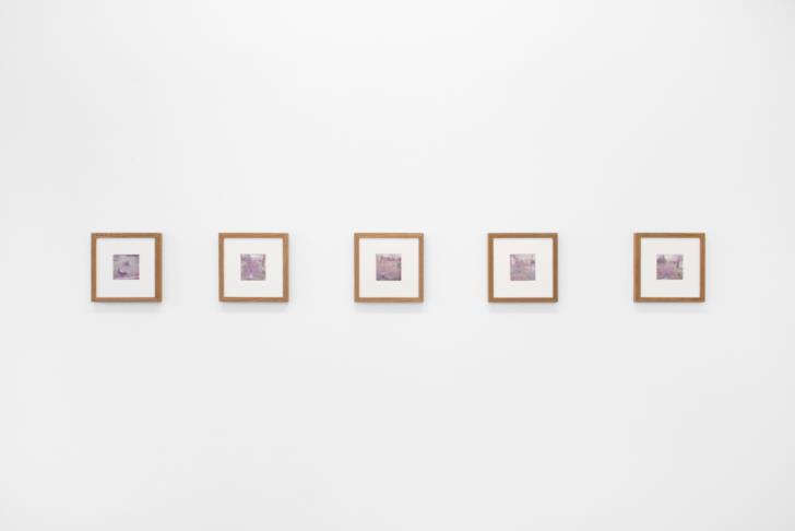 James Gregory Atkinson, Preußisches Liebesglück (Detail), 2021, wall paper, photography, peacock chair, audio piece, installation view ‘6 Friedberg-Chicago’, Dortmunder Kunstverein Courtesy: the artist, Tyrown Vincent, Dortmunder Kunstverein Photo: Jens Franke