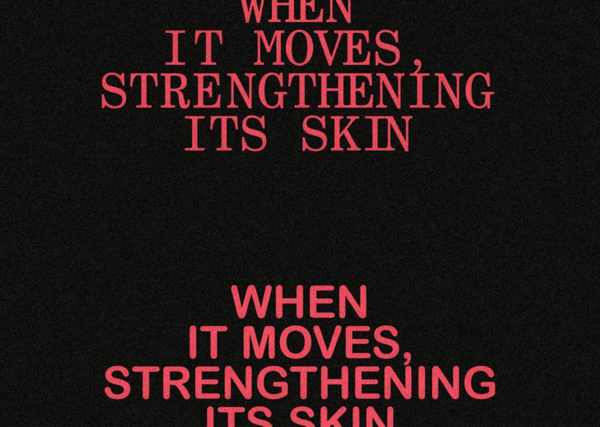 When it moves, strengthening its skin_nrw+_Grafik: Christopher Tröster