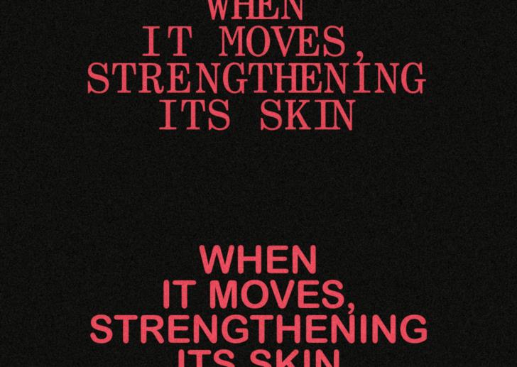 When it moves, strengthening its skin_nrw+_Grafik: Christopher Tröster