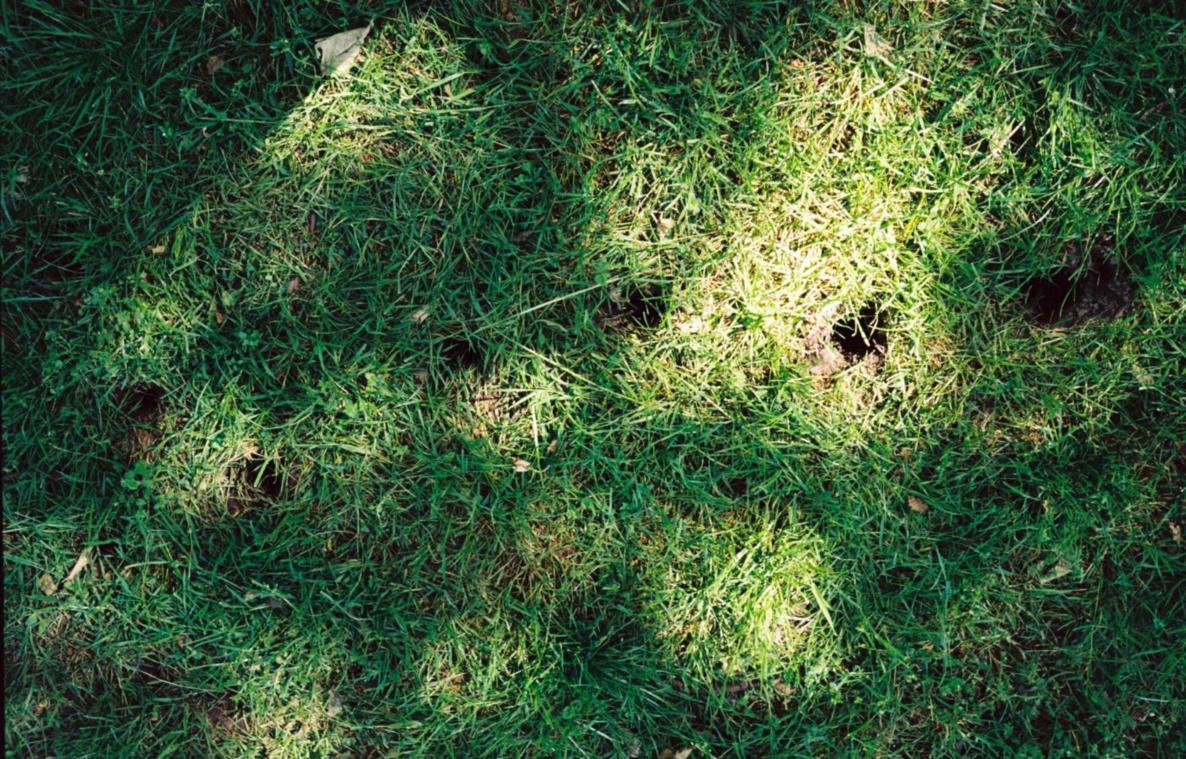 Ja Jess - by the use of its displays, 2024, Performance, Dortmunder Kunstverein, Foto: Franziska Frings