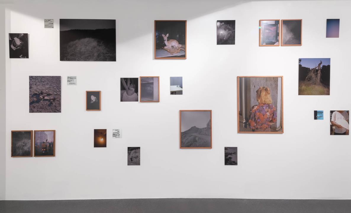 Ausstellungsansicht: Steven Natusch, Emerging Artists Dortmund, 2021/22, uzwei im Dortmunder U, Foto: Monika Hanfland