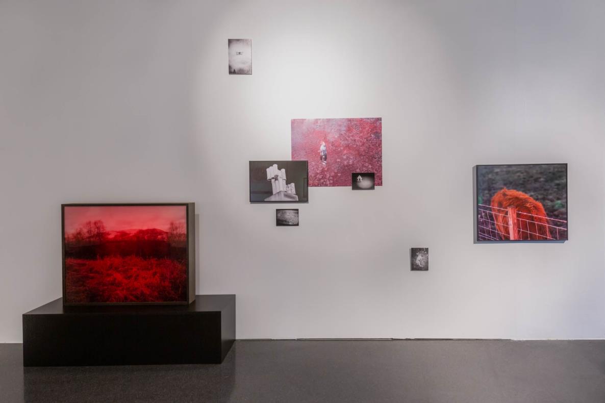 Ausstellungsansicht: Sophia Weber, Emerging Artists Dortmund, 2021/22, uzwei im Dortmunder U, Foto: Monika Hanfland