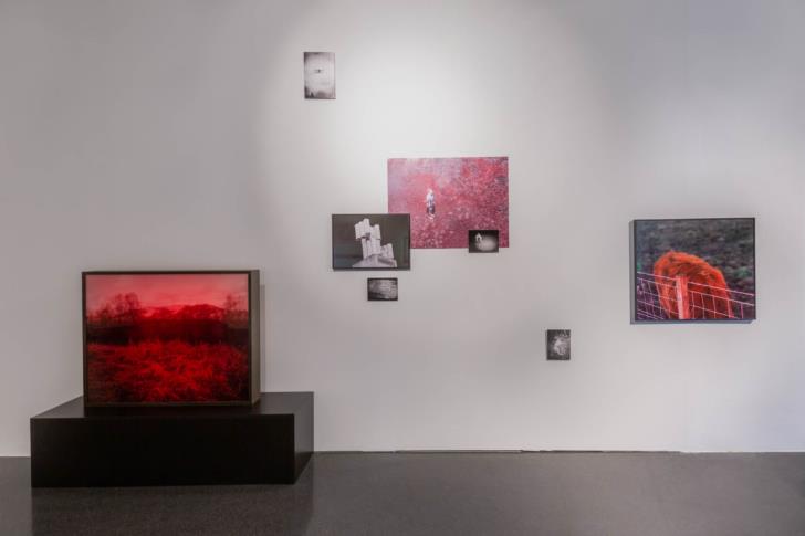 Ausstellungsansicht: Sophia Weber, Emerging Artists Dortmund, 2021/22, uzwei im Dortmunder U, Foto: Monika Hanfland