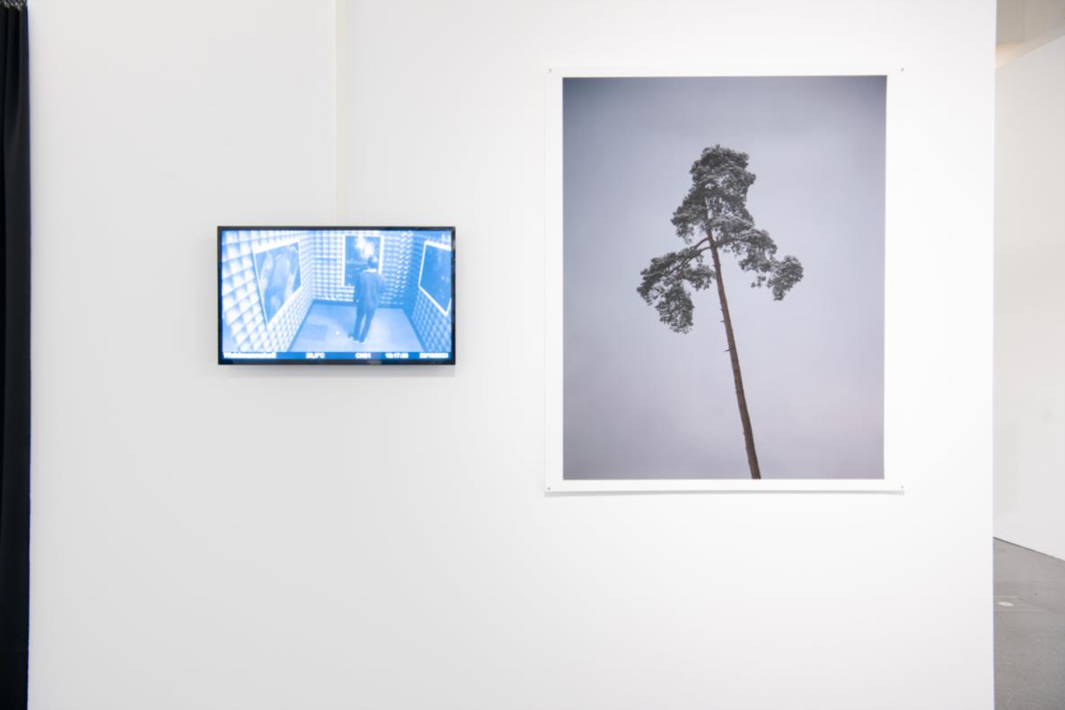 Ausstellungsansicht: Calvin Hein, Emerging Artists Dortmund V, 2023, Foto: Johannes Schriek