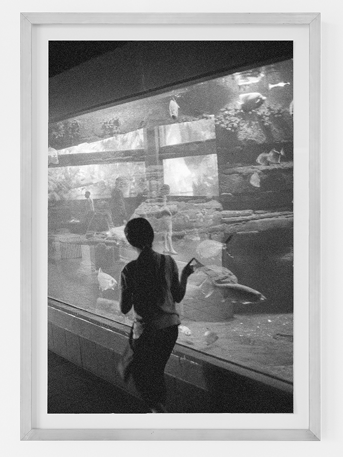 Julian Irlinger: Variable Location, 2022 #2