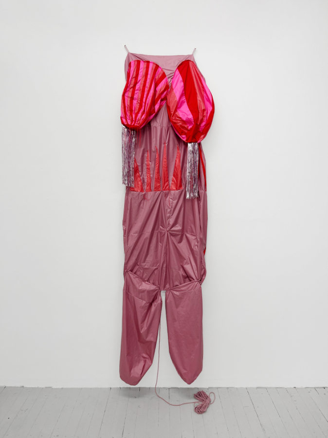 Hoda Tawakol: Mother Dragon, 2024